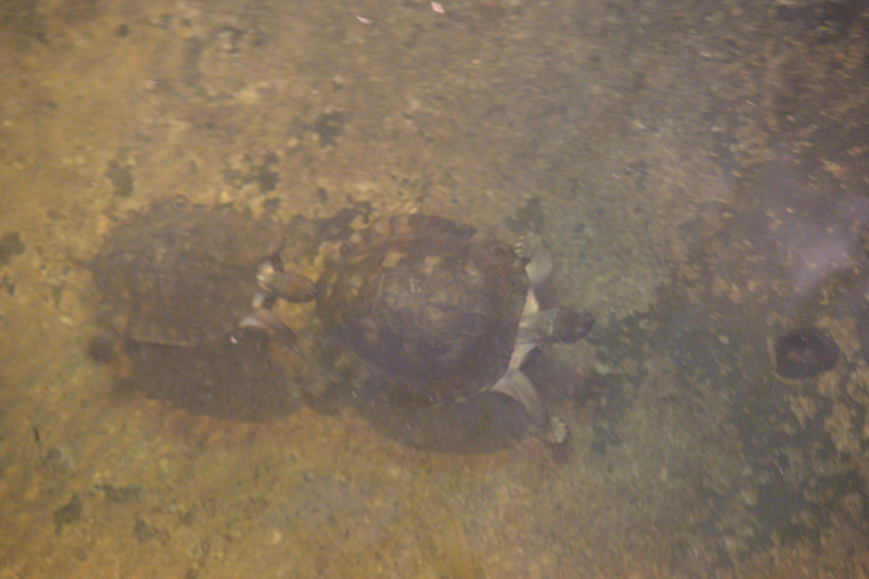 2025/10/12 - zoo/DSC_0140.jpg